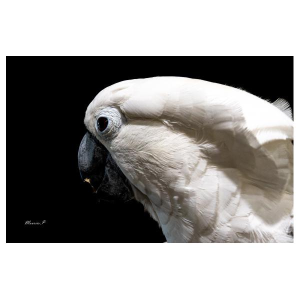 PHOTO84, CLUB, 84 , LUBERON